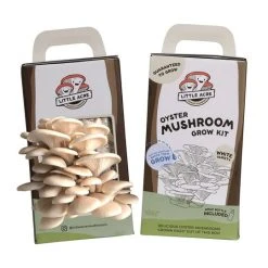 Little Acre Gourmet Mushrooms White Oyster Mushroom Grow Kit Gift Kits