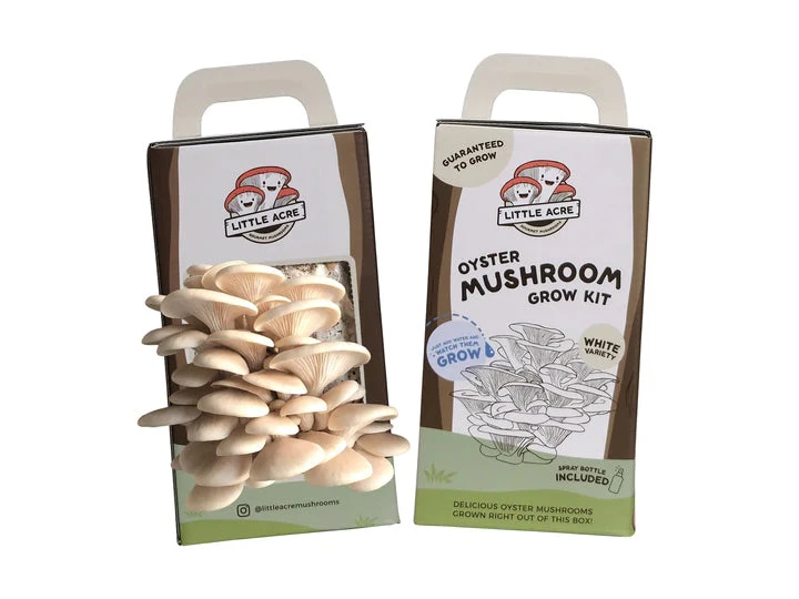 Little Acre Gourmet Mushrooms White Oyster Mushroom Grow Kit Gift Kits 3 Little Acre Gourmet Mushrooms White Oyster Mushroom Grow Kit Gift Kits