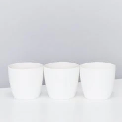 Elho Plant + Pot Multi Packs Mini Eco Gifting Pots With Cacti