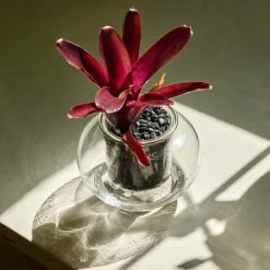 Plants In A Box Clear Glass Self-Watering Planter