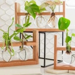 Cooper And Smith Arwen Propagation Station