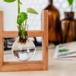 Cooper And Smith Arwen Propagation Station