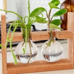 Cooper And Smith Arwen Handcrafted Propagation Stations - 3 Pack