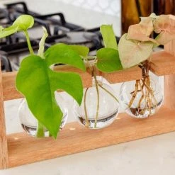 Cooper And Smith Arwen Propagation Station