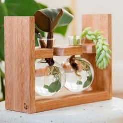 Cooper And Smith Arwen Handcrafted Propagation Stations - 3 Pack