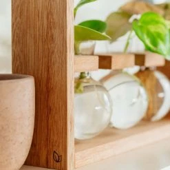 Cooper And Smith Arwen Handcrafted Propagation Stations - 3 Pack