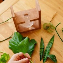 Cooper And Smith Arwen Handcrafted Propagation Stations - 3 Pack