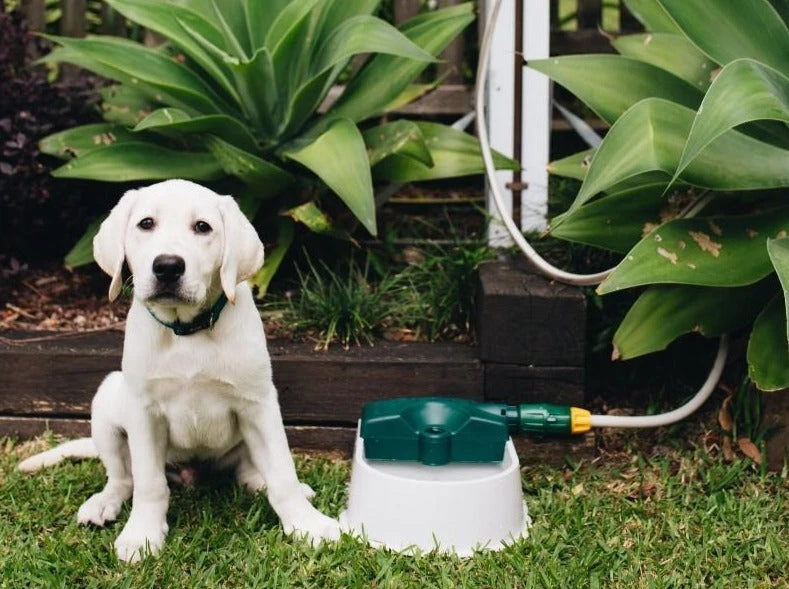 Hoselink Auto-fill Pet Bowl + 5m Hose & Tap Connector Hoses & Sprinklers 4 Hoselink Auto-fill Pet Bowl + 5m Hose & Tap Connector Hoses & Sprinklers