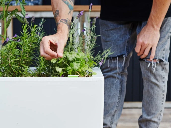 GLOWPEAR PTY LTD Outdoor Living Cafe Planter 3 GLOWPEAR PTY LTD Outdoor Living Cafe Planter