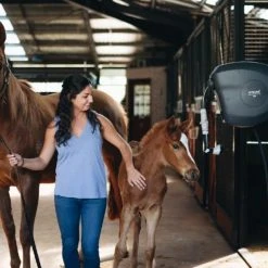 Hoselink Hoses & Sprinklers 20m Retractable Hose Reel - Charcoal 12 Hoselink Hoses & Sprinklers 20m Retractable Hose Reel - Charcoal