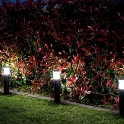 Hoselink Solar Garden Path Lights - Cool White (3 Pack)