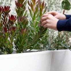 GLOWPEAR PTY LTD Pilbara Planter Outdoor Living