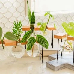 Cooper And Smith Fleur Propagation Station Propagation Stations