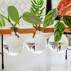 Cooper And Smith Fleur Propagation Station - 3 Pack