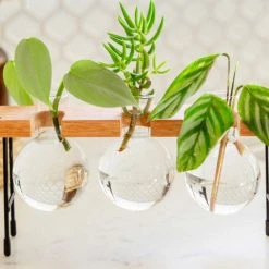 Cooper And Smith Fleur Propagation Station Propagation Stations