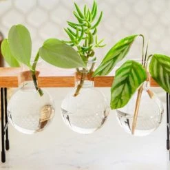 Cooper And Smith Fleur Propagation Station - 3 Pack