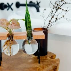 Cooper And Smith Fleur Propagation Station - 3 Pack