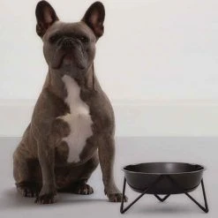 Bendo Best Selling Gifts The WOOF Dog Bowl - MIX 'N MATCH