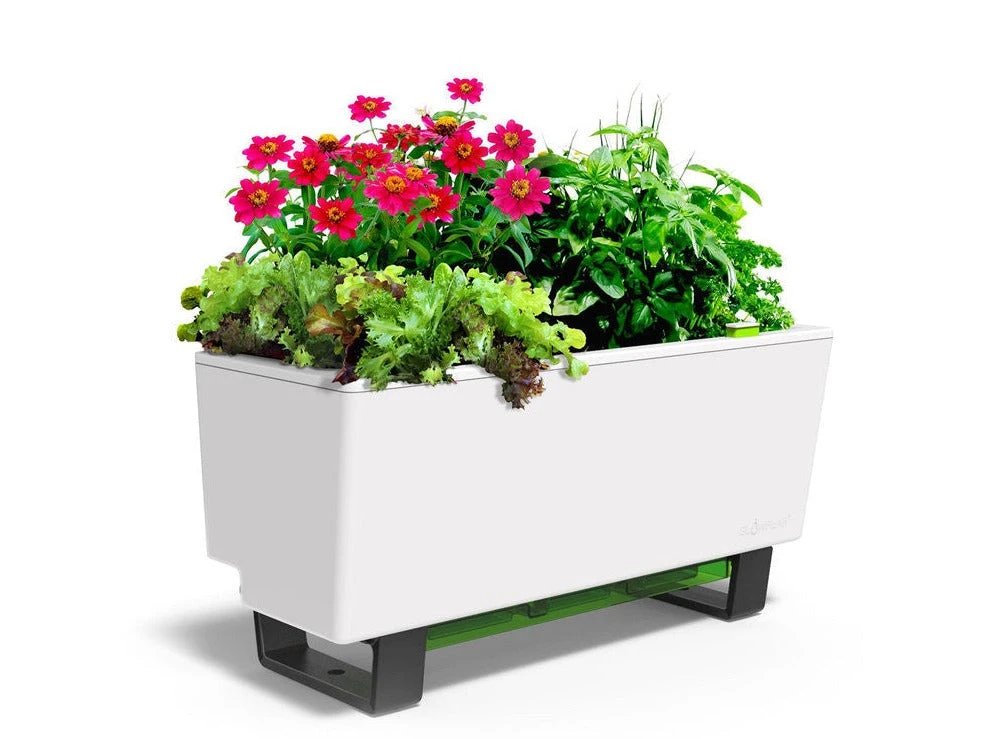 GLOWPEAR PTY LTD Mini Bench Outdoor Accessories 5 GLOWPEAR PTY LTD Mini Bench Outdoor Accessories