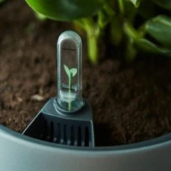 Indoor Garden Self-Watering Eco ♻️ Hanging Planter - Pot + Plant + Soil Office & Home Office