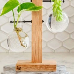 Cooper And Smith Propagation Stations Harper Propagation Station - 3 Pack