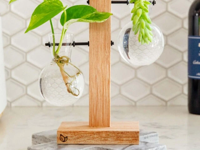 Cooper And Smith Propagation Stations Harper Propagation Station - 3 Pack 4 Cooper And Smith Propagation Stations Harper Propagation Station - 3 Pack