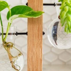 Cooper And Smith Harper Propagation Station