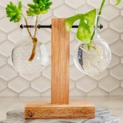 Cooper And Smith Propagation Stations Harper Propagation Station - 3 Pack 11 Cooper And Smith Propagation Stations Harper Propagation Station - 3 Pack