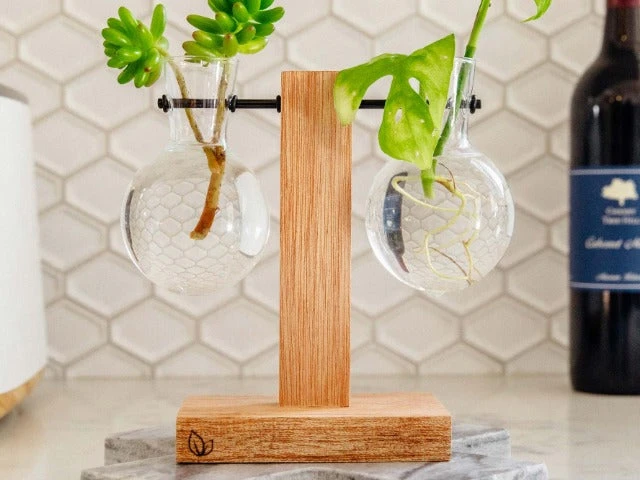 Cooper And Smith Propagation Stations Harper Propagation Station - 3 Pack 5 Cooper And Smith Propagation Stations Harper Propagation Station - 3 Pack