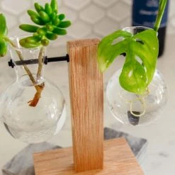 Cooper And Smith Propagation Stations Harper Propagation Station - 3 Pack 15 Cooper And Smith Propagation Stations Harper Propagation Station - 3 Pack