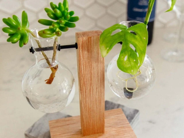 Cooper And Smith Propagation Stations Harper Propagation Station - 3 Pack 9 Cooper And Smith Propagation Stations Harper Propagation Station - 3 Pack