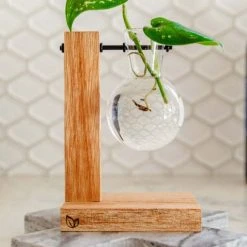 Cooper And Smith Harper Propagation Station