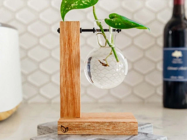 Cooper And Smith Propagation Stations Harper Propagation Station - 3 Pack 6 Cooper And Smith Propagation Stations Harper Propagation Station - 3 Pack