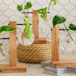 Cooper And Smith Harper Propagation Station