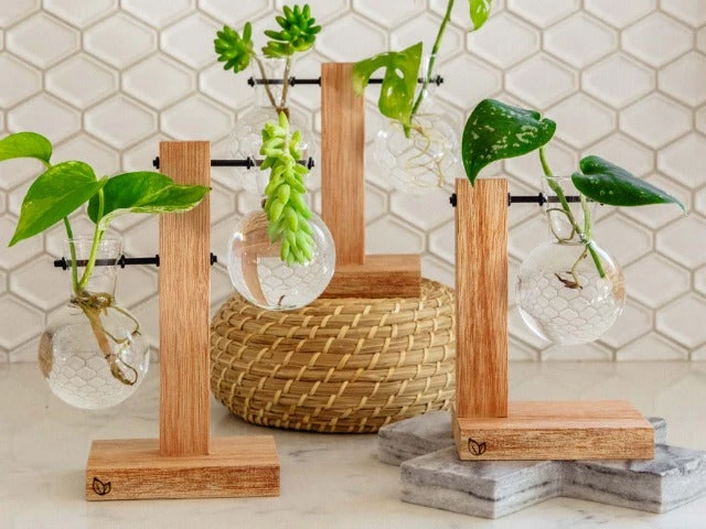 Cooper And Smith Propagation Stations Harper Propagation Station - 3 Pack 3 Cooper And Smith Propagation Stations Harper Propagation Station - 3 Pack