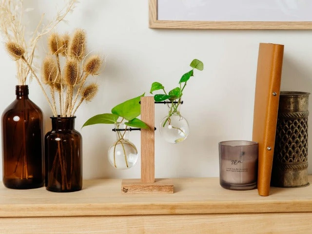 Cooper And Smith Propagation Stations Harper Propagation Station - 3 Pack 7 Cooper And Smith Propagation Stations Harper Propagation Station - 3 Pack