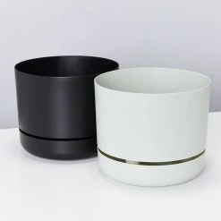 Indoor Garden Plant Packs Mr Kitly 3 Plants & 3 Pots - 250mm