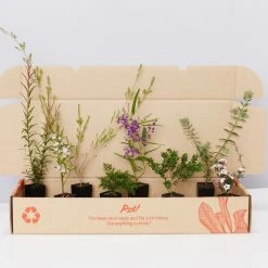 Shrubs Birds And Bees ๐ Australian Native Plant Pack 20 Shrubs Birds And Bees ???? Australian Native Plant Pack