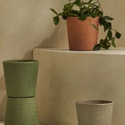 Tree Stripes Pty Ltd Conical Pot Dotty - Pale Blush Pots & Hanging Baskets