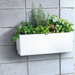 GLOWPEAR PTY LTD Mini Wall Outdoor Living