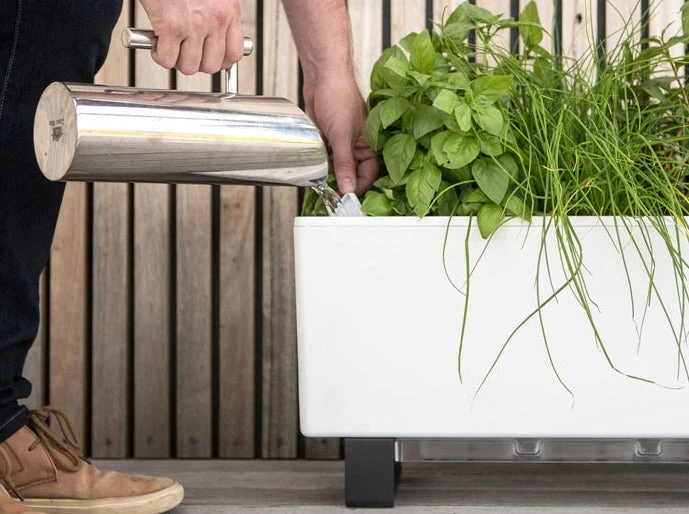 GLOWPEAR PTY LTD Mini Bench Outdoor Accessories 3 GLOWPEAR PTY LTD Mini Bench Outdoor Accessories