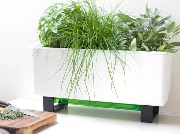 GLOWPEAR PTY LTD Mini Bench Outdoor Accessories 6 GLOWPEAR PTY LTD Mini Bench Outdoor Accessories