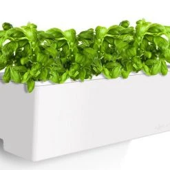 GLOWPEAR PTY LTD Mini Rail