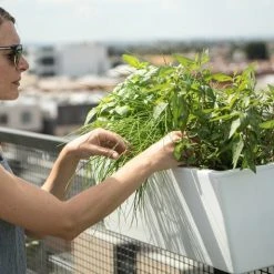 GLOWPEAR PTY LTD Mini Rail