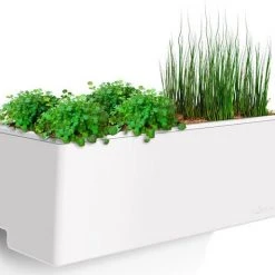 GLOWPEAR PTY LTD Mini Wall Outdoor Living