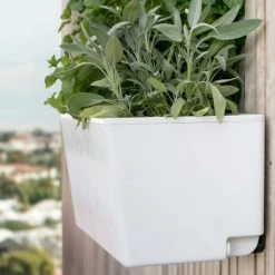 GLOWPEAR PTY LTD Mini Wall Outdoor Living