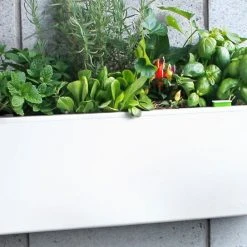 GLOWPEAR PTY LTD Mini Wall Outdoor Living