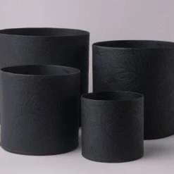 Tree Stripes Pty Ltd Pots & Hanging Baskets Cylinder Pot Monstera - Black