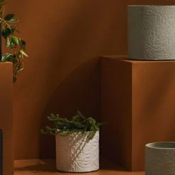 Tree Stripes Pty Ltd Pots & Hanging Baskets Cylinder Pot Monstera - Black 10 Tree Stripes Pty Ltd Pots & Hanging Baskets Cylinder Pot Monstera - Black