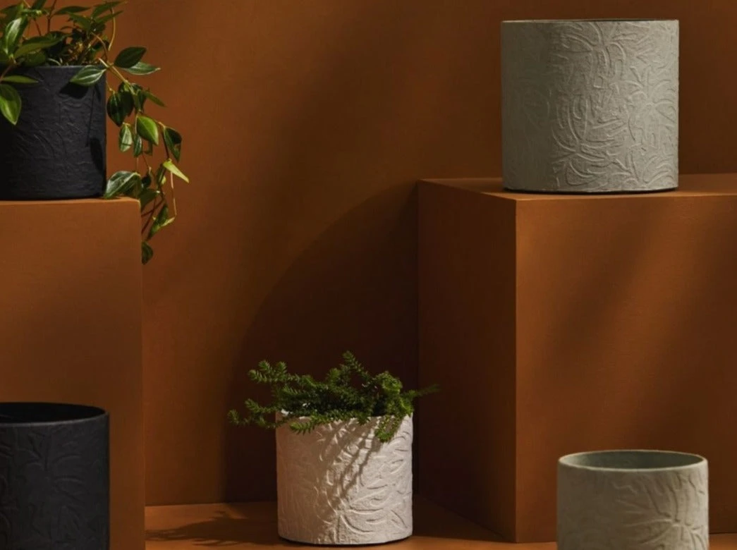 Tree Stripes Pty Ltd Pots & Hanging Baskets Cylinder Pot Monstera - White 6 Tree Stripes Pty Ltd Pots & Hanging Baskets Cylinder Pot Monstera - White